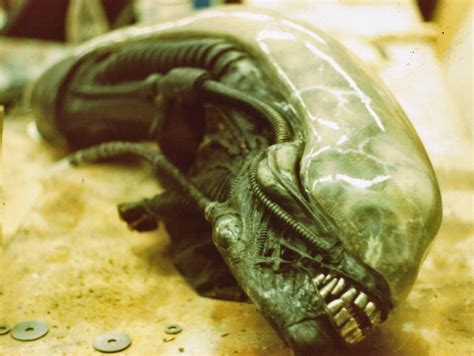 Image result for Alien Movie Prop