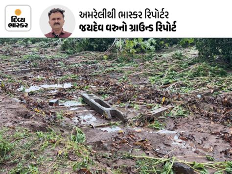 Saurashtra Rain Havoc: Amreli Rajula Villages Disconnected Seven Hours ...