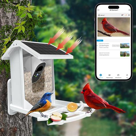 Amazon.com : Smart Bird Feeder with Camera Solar Powered 1080P HD Bird ...