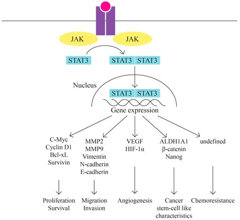 Developments in Genetics: Better Management of Ovarian Cancer Patients