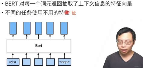 97. BERT微调、自然语言推理数据集以及代码实现_bert微调代码示例-CSDN博客