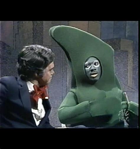 Slideshow: 50 SNL Characters