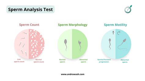 Seman Anlyas Test