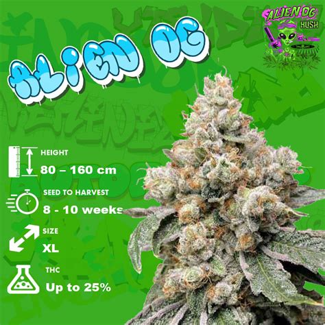 Image result for Alien OG Strain Info