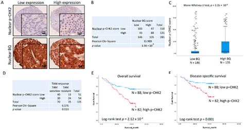 Checkpoint Kinase 2 Inhibition Can Reverse Tamoxifen Resistance in ER ...
