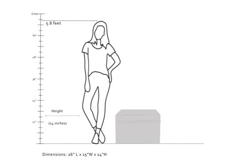 Buy bano trunk Online | Sirohi – Sirohi.org