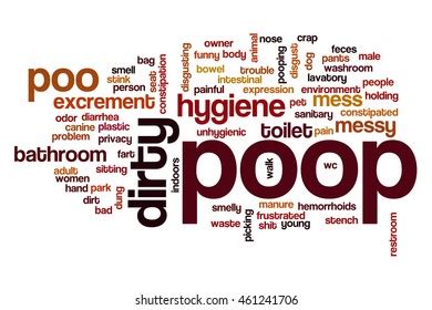 Image result for Poop Cat Exploding