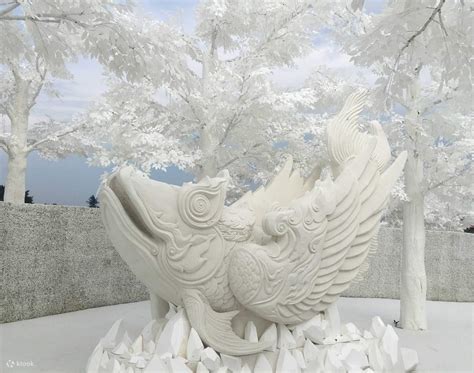 FROST Magical Ice of Siam Ticket in Pattaya, Thailand - Klook India