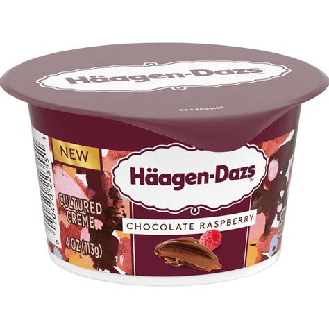 Haagen-Dazs Chocolate Raspberry Yogurt Style Cultured Cream Snack (4 oz ...