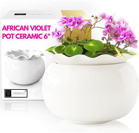 Amazon.com: African Violet Pots Self Watering - 7in White Ceramic ...