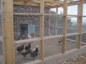 Image result for Chicken Coop Wire Mesh