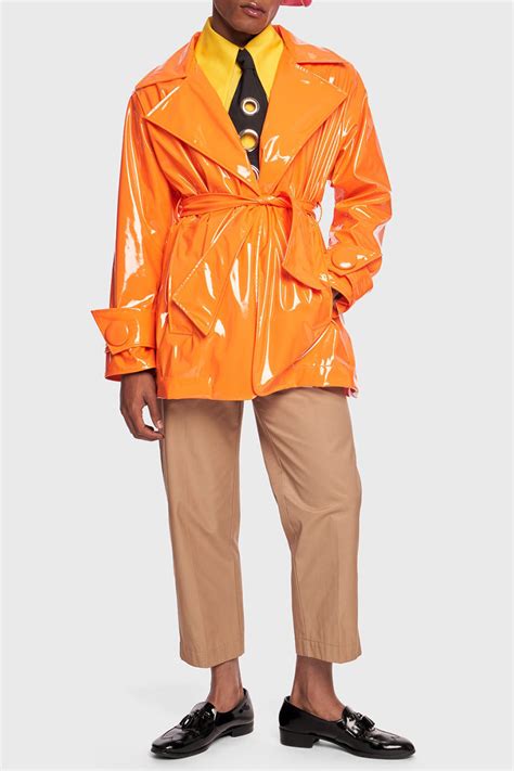 Coats JavaScript 的图像结果