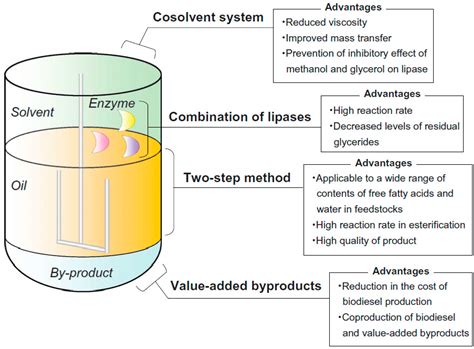 Biological Methods in Biodiesel Production and Their Environmental Impact