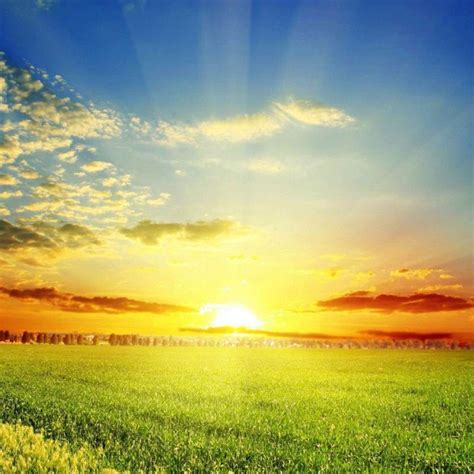The Essence of Raja Mithuna Sankranti – ServDharm