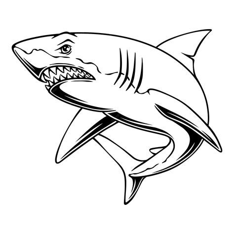 Shark Fin Clipart Black And White