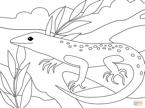 Lizard coloring page | Free Printable Coloring Pages