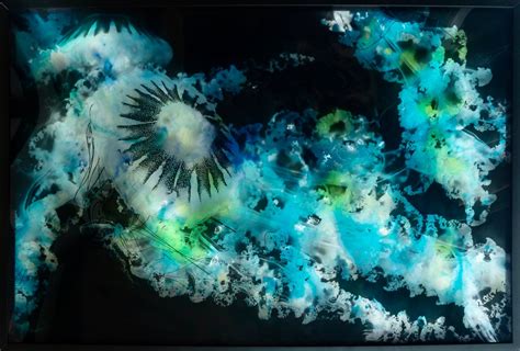 LIGHTSCAPE-A Multi-Sensory Art Experience , DHV Artworks, LLC, Dallas ...