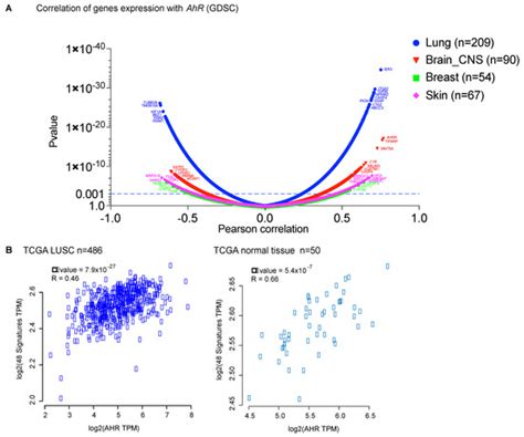 AhR and Cancer: From Gene Profiling to Targeted Therapy