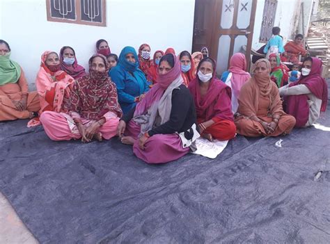 Project Activities Gallery : HP JICA Forestry Project || Shimla