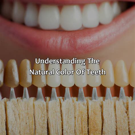 What Is Real Colour Of Teeth at Rosalind Caine blog