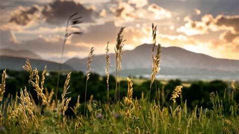 5 Best Places to Get Your Body Moving in Denver | Jefferson Center