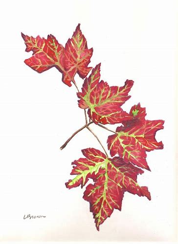 online drawing courses with certificates