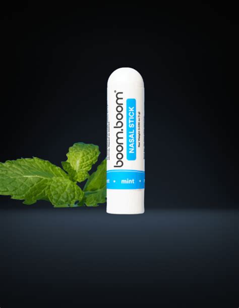 Boom Boom Stick – Rave Camp