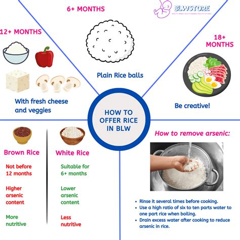 Baby Led Weaning: Rice for Babies | First and Easy Recipes