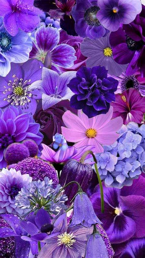 Purple Flowers Aesthetic Collage