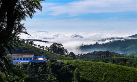 Hill Stations Near Thrissur 2026 – Top 20 Scenic Getaways