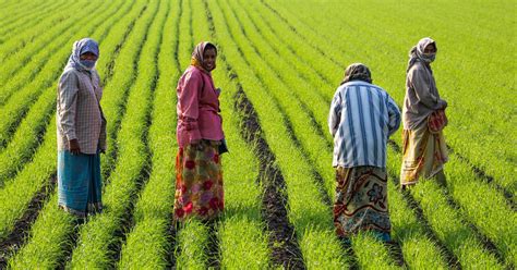 Why female farm workers’ nutrition levels drop during peak agricultural ...