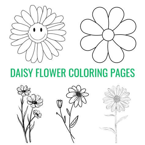 Daisy Flower Coloring Sheet [2025]