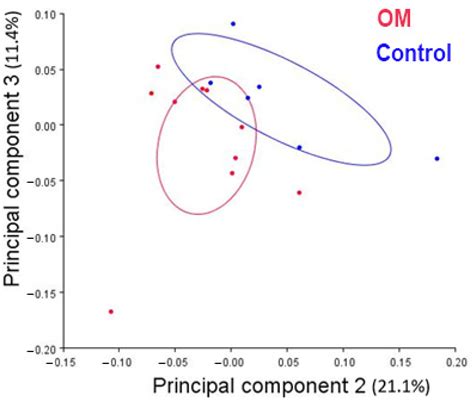 Using Geometric Morphometric Analysis of Magnetic Resonance Imaging to ...