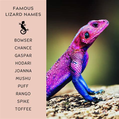 Cute Names For Lizards