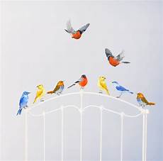 Bird Wall Stickers by Birds Wall Stickers Birds Nursery Pvc Free Stickers By Bird Wall Stickers