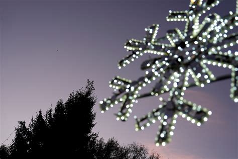 Watch 'A Charlie Brown Christmas' by streaming for free this weekend