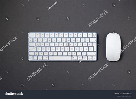 Image result for Computer Mouse Top View