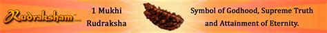 Rudraksha Beads, 1 to 21 Mukhi Rudraksh beads, Rudraksham