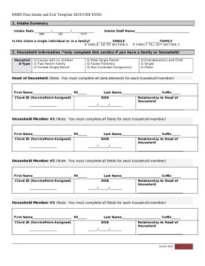 Homeless Alliance of WNY HMIS Data Intake Template Doc Template | pdfFiller
