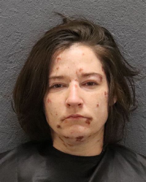 Oconee County Sheriff's Office Announces Additional Arrest in First ...