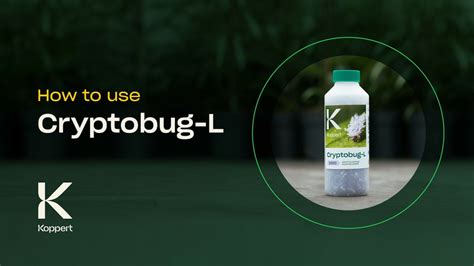 Cryptobug-L | Mealybug Control | Predatory Beetles (Cryptolaemus ...