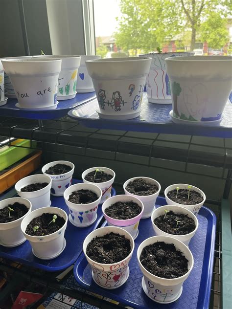 2024 Mother's Day Plant Painting - Pioneer Parent Teacher Club