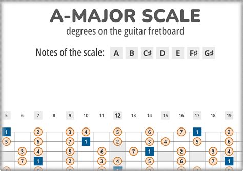 Scale Of Degrees
