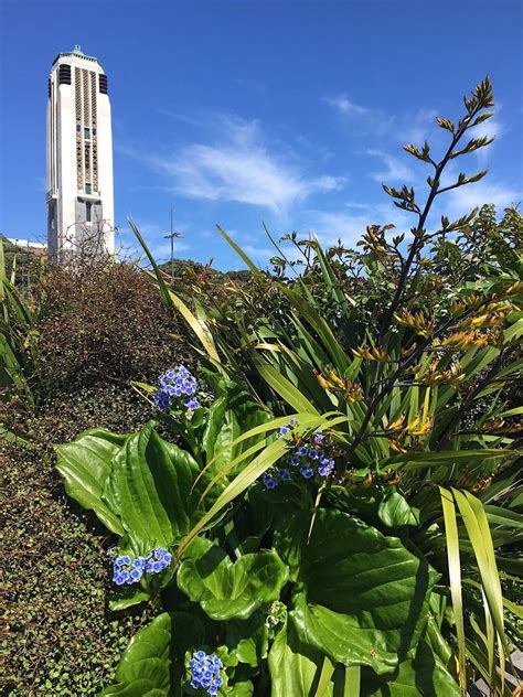 Free Yoga in the Park: Pukeahu National War Memorial Park, Pukeahu ...