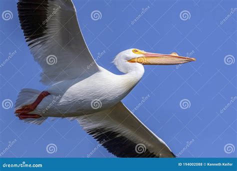 Image result for Examples of Visual Abstracts