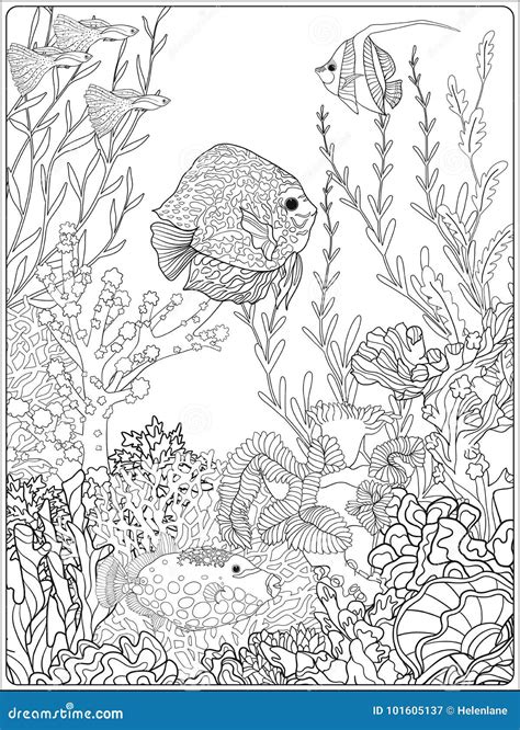 Coloring Pages Coral Reefs