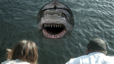 Zombie Shark - Movies on Google Play