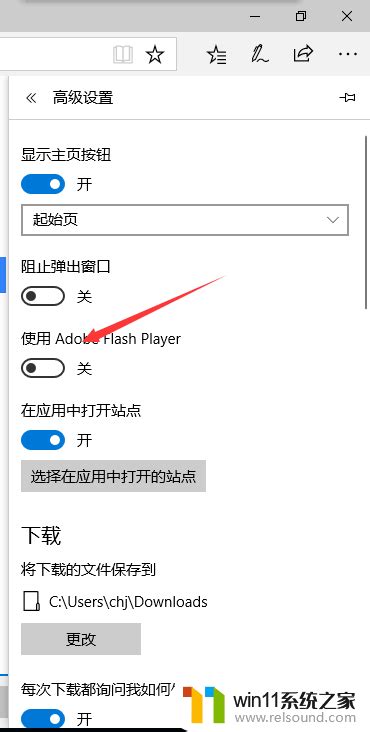 Flash Plug-In Edge 的图像结果