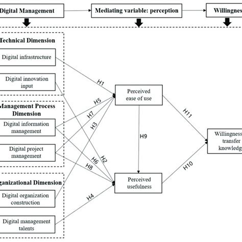 Knowledge Transfer Process 的图像结果