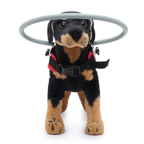 Blind Dog Harness Guiding Device - Pet Anti Collision,Pet Vest for ...